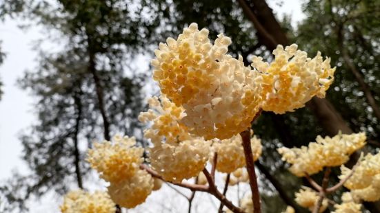 景致，这是去西安一定要去的地方。大雁塔坐落在大慈恩寺内。寺院