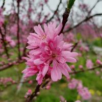 評論圖片 6