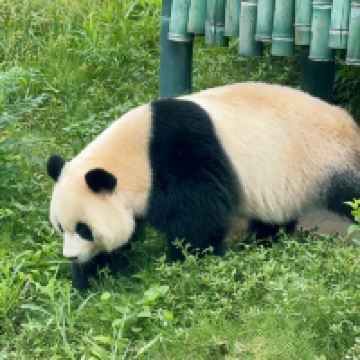 評論圖片 2