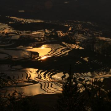 評論圖片 3