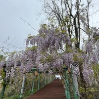 評論圖片 6