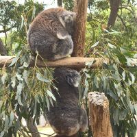 評論圖片 3