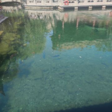 評論圖片 2