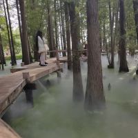 評論圖片 7
