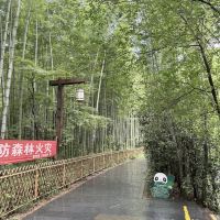 評論圖片 4