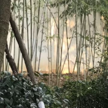 評論圖片 1