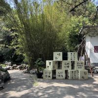評論圖片 2