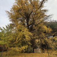 評論圖片 1