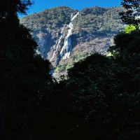 評論圖片 4