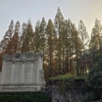 評論圖片 5