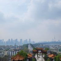 評論圖片 7