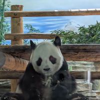 評論圖片 1