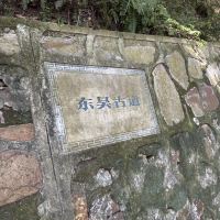 評論圖片 6