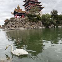 評論圖片 2