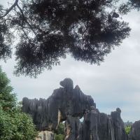 評論圖片 7