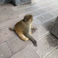 評論圖片 2