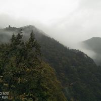 評論圖片 2
