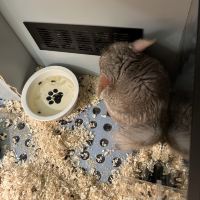 評論圖片 3