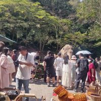 評論圖片 1
