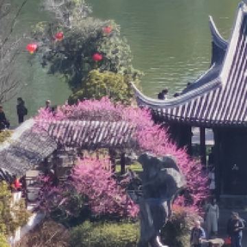 評論圖片 1