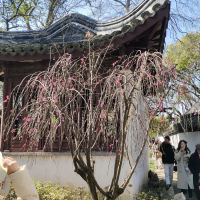 評論圖片 7