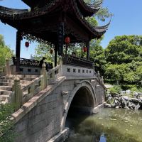 評論圖片 8