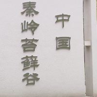 評論圖片 1