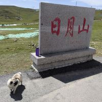 評論圖片 1