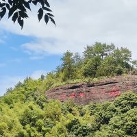 評論圖片 3