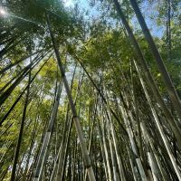 評論圖片 6