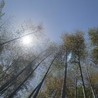 評論圖片 4