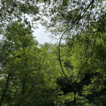 評論圖片 7