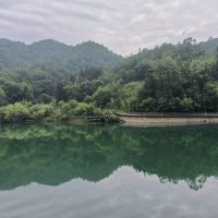 評論圖片 2