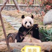 評論圖片 3