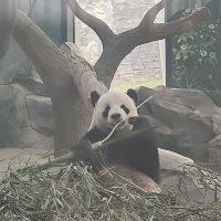 評論圖片 1