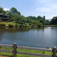 評論圖片 2