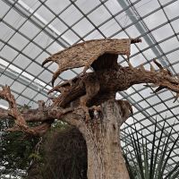 評論圖片 6