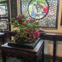 評論圖片 5