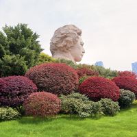評論圖片 6