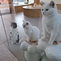 評論圖片 8