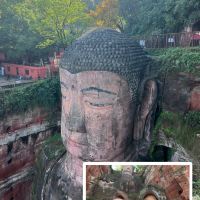 評論圖片 1