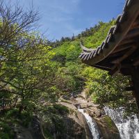 評論圖片 2