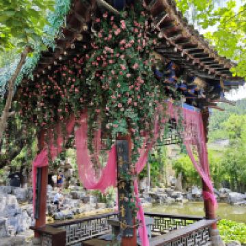 評論圖片 8