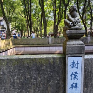 評論圖片 8