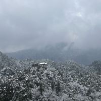 評論圖片 5