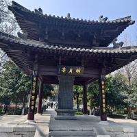 評論圖片 7