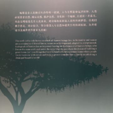評論圖片 4