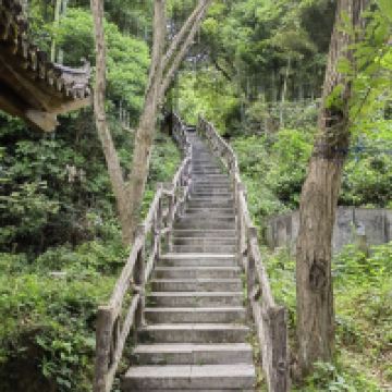 評論圖片 7