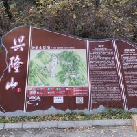 評論圖片 2