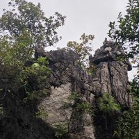評論圖片 7